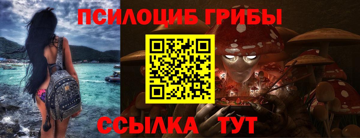 Буйнакск  Галлюциногенные грибы Magic Shrooms  Вход с VPN 